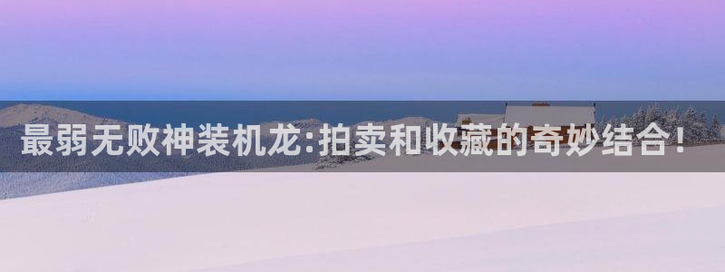 东方project漫画极速漫画：最弱无败神装机龙:拍卖和收藏的奇妙结合！